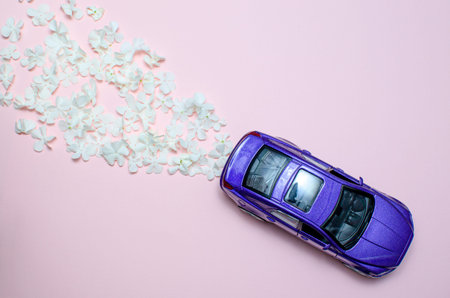 violet toy car with trail of blooming white flowers on a pink background.