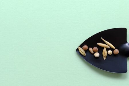 mini garden tools on green background creative concept. shoulder blade with seeds of various plants with copy space. gardening vegetable garden floriculture. planting plants. summer season. seedlingsの写真素材