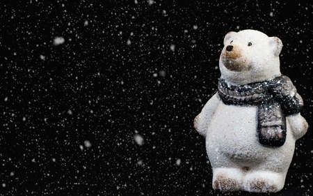 White bear on snow at Christmas nightの写真素材