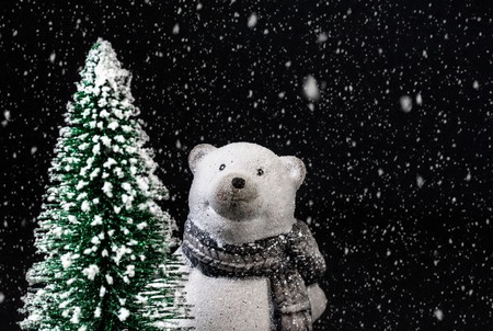 toy polar bear on a black background with snow next to a Christmas treeの写真素材