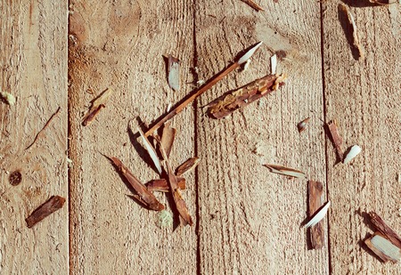 Wood shavings on a light woodenの写真素材