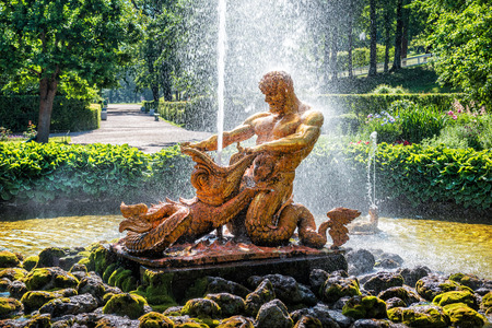 The greenhouse fountain Triton, tearing the jaws of the monster, and turtles in Peterhof amidst bright summer greensの写真素材