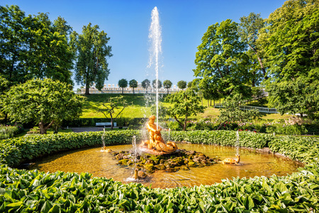 The greenhouse fountain Triton, tearing the jaws of the monster, and turtles in Peterhof amidst bright summer greensの写真素材