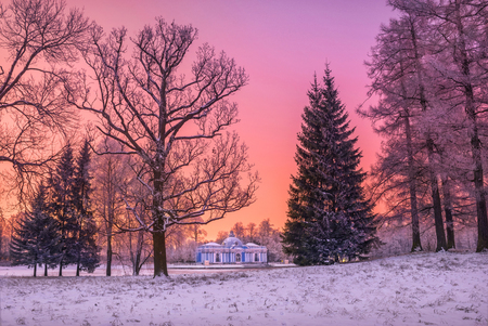Pavilion Grotto and trees of the park against the pink sunset sky in Tsarskoye Selo on a snowy winter eveningの写真素材