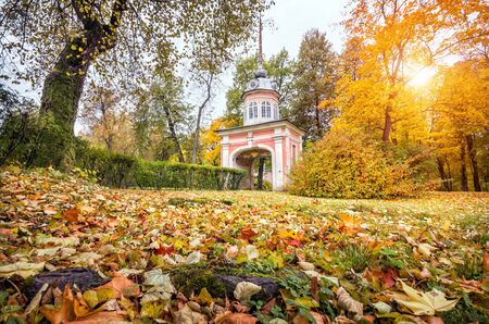 Honorable gate and carpet of autumn leaves on the ground in the Amusement fortress of Oranienbaumの写真素材