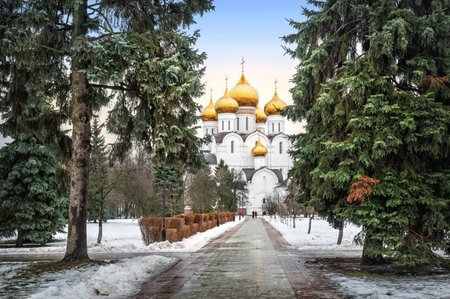 Golden-headed Assumption Cathedral in Yaroslavl among green fir trees on a cloudy winter day