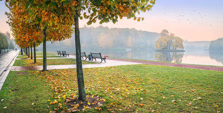 View of the golden autumn trees of Tsaritsyno Park in Moscow on the banks of the pond and benches in...
