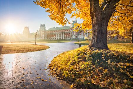 Tsaritsyno Palace in Moscow and a tree with autumn golden leaves in the morning sunの写真素材