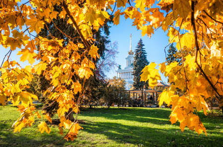 Central pavilion with a spire at VDNH in Moscow in a frame of yellow autumn leaves of a treeのeditorial素材