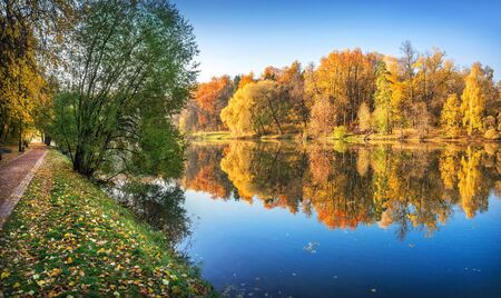 Colorful autumn trees in Tsaritsyno park in Moscow with a mirror reflection in the water of the pond and a walking path along the shady shoreの写真素材
