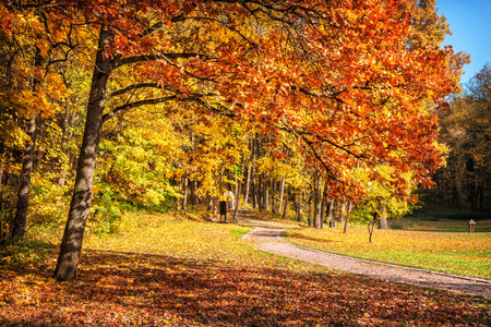 Oak tree with red-brown leaves among golden autumn trees in Tsaritsyno park in Moscow