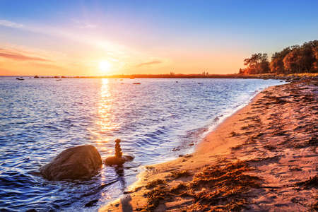 White Sea on the Solovetsky Islands, the setting sun and stones with algae on the sand on the shoreの写真素材