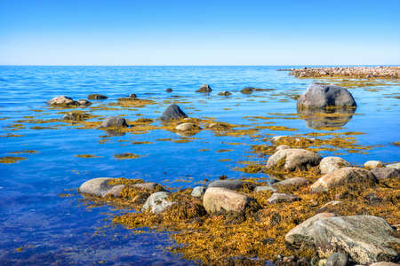 Stones and algae in the blue water of the White Sea on the Solovetsky Islands in the rays of the autumn sunの写真素材