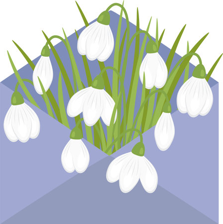 Bouquet of snowdrops in an envelope. Vector illustration on a transparent background.のイラスト素材