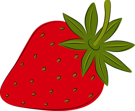 Vector image of a strawberry in a sketch style. Isolated image on a transparent background.のイラスト素材