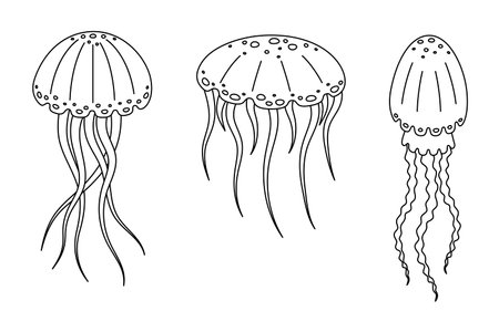 Jellyfish line art. Vector illustration on a white background. Coloring.のイラスト素材