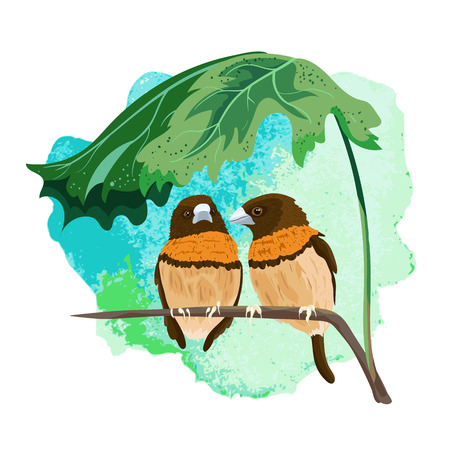 Two tropical birds sitting on a branch under a leaf. Beautiful hand-drawn illustration of a chestnut-breasted.Vector summer background.のイラスト素材
