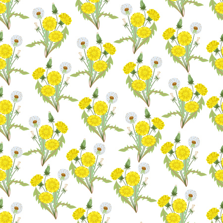 Seamless pattern with bouquets of dandelions on a white background. Vector illustration.のイラスト素材
