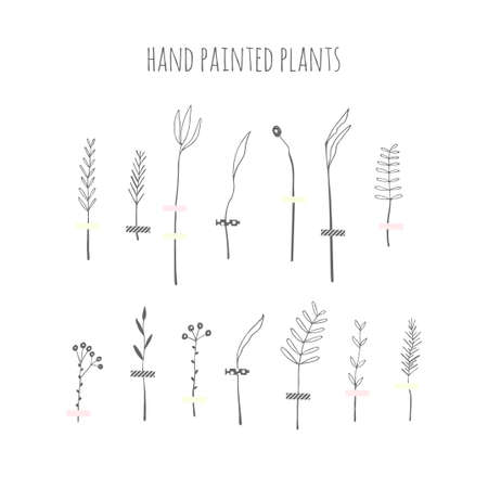 Collection of hand-drawn plants and leaves isolated on white background. Vector illustration.のイラスト素材