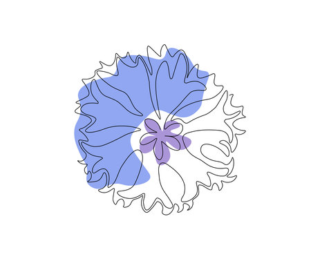 abstract cornflower flower in the style of one line artのイラスト素材