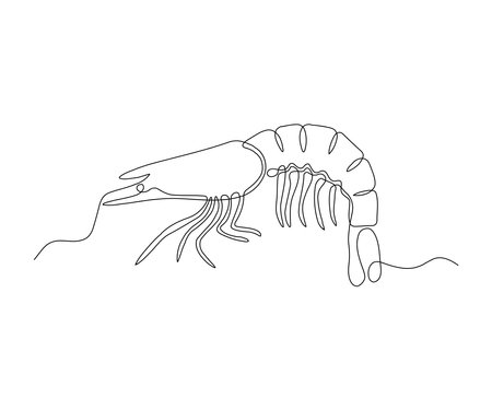 shrimp Continuous One Line Drawingのイラスト素材