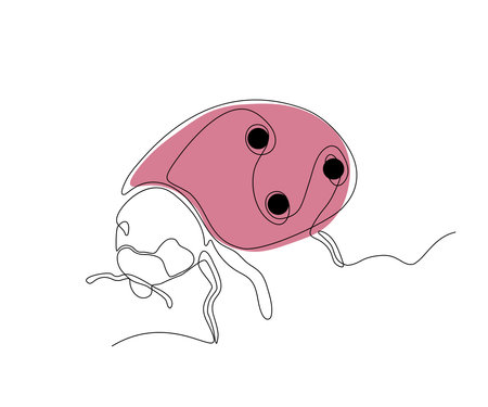 abstract beetle, ladybug Continuous One Line Drawingのイラスト素材