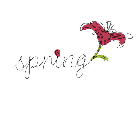 the inscription "Spring" and the lily flower Continuous One Line Drawingのイラスト素材