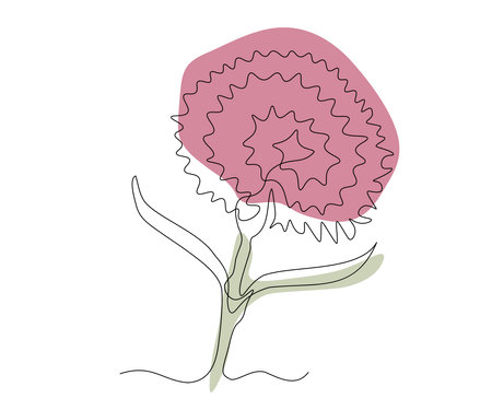 abstract Carnation Flower Continuous One Line Drawingのイラスト素材