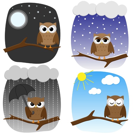 Four owls on branches in different weather and in different moodのイラスト素材