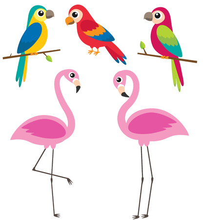 Cute cartoon parrots and flamingos on white background. Vector illustrationのイラスト素材