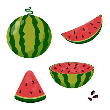 Watermelon in flat style. Whole, cut and sliced watermelon. Healthy Eatingのイラスト素材