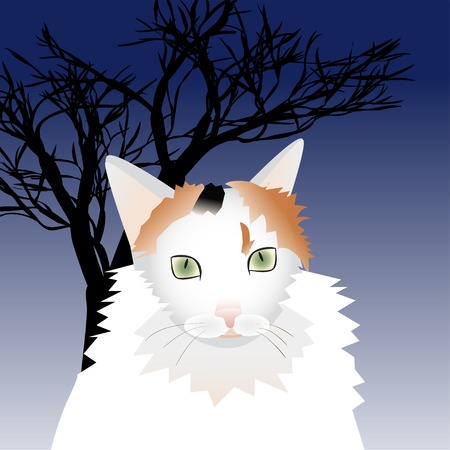 Illustration of a white cat for your designのイラスト素材