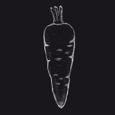Carrot hand-drawnのイラスト素材