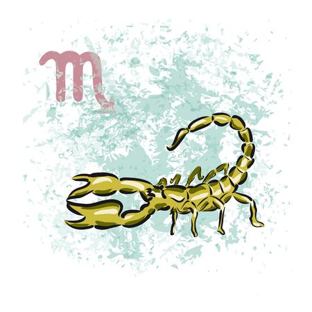 Scorpio sign of the Zodiac. Hand-drawn vector illustrationのイラスト素材