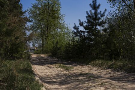 a long road from the forest to the villageの写真素材