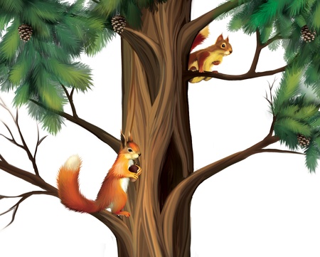 Squirrels on the tree  Two Cute Squirrels  の写真素材
