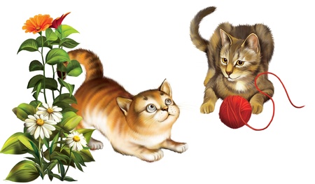 Playing cats  Kitten with ball の写真素材