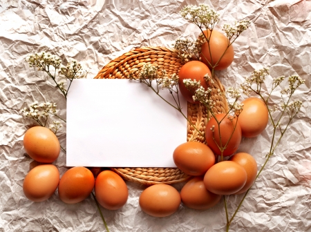 Easter card, Easter eggs, Retro spring backgroundの写真素材
