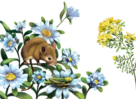 Mouse, grasshoper blue meadow flowersの写真素材