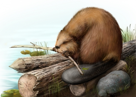 Illustration of beaver sitting on a logの写真素材
