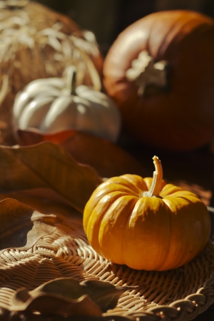 Thanksgiving Background with Pumpkins. Retro cardの写真素材