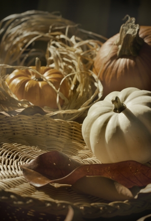 Thanksgiving Background with Pumpkins. Retro cardの写真素材