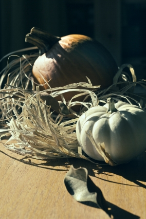 Thanksgiving Background with Pumpkins. Retro cardの写真素材