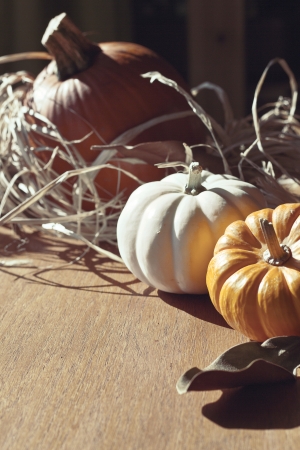 Thanksgiving Background with Pumpkins. Retro cardの写真素材