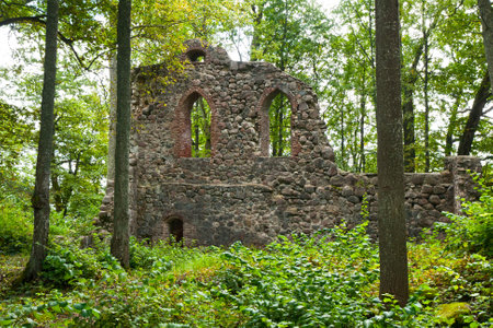 Ruins of an ancient fortress in the valley of the Gauja river, Latviaの写真素材
