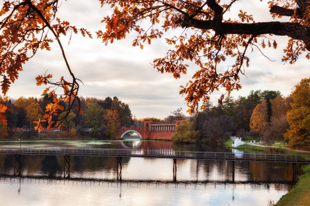 Marfino estate, autumn landscape. Oak branch with yellow leaves over a pondの写真素材