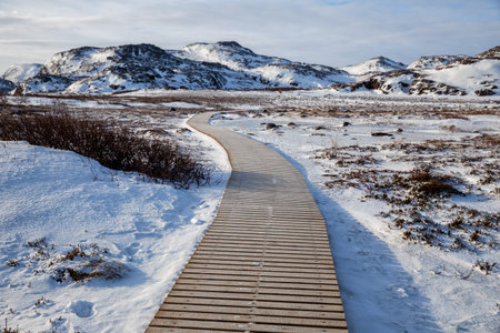 Teriberka Nature Park. Eco-trail in the tundra, wooden boardwalk for easy walking and vegetation preservation. Teriberka in winterの写真素材