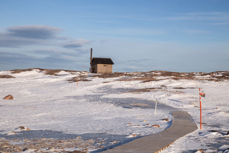 Teriberka Nature Park. Eco-trail, wooden walking pathの写真素材