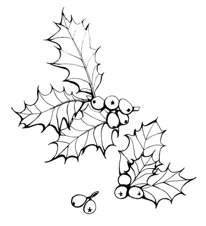 Elegant christmas hand drawn holly berries, design elements. Can be used for holiday invitations, greeting cards, scrapbooking, print, gift wrap, manufacturing.&#xA;のイラスト素材