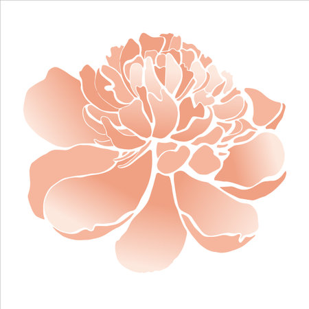 Beutiful vector pink peony.のイラスト素材